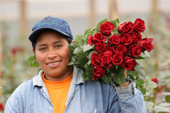 fair trade rose worker