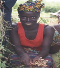 fairtrade gambia groundnuts