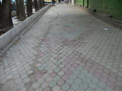 1126 valiasr downhill