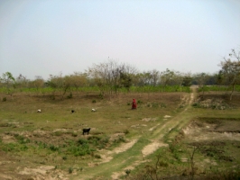 ts074
