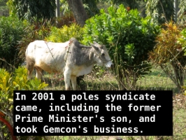 ts083